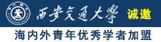 美女的外国网站在线观看免费诚邀海内外青年优秀学者加盟西安交通大学